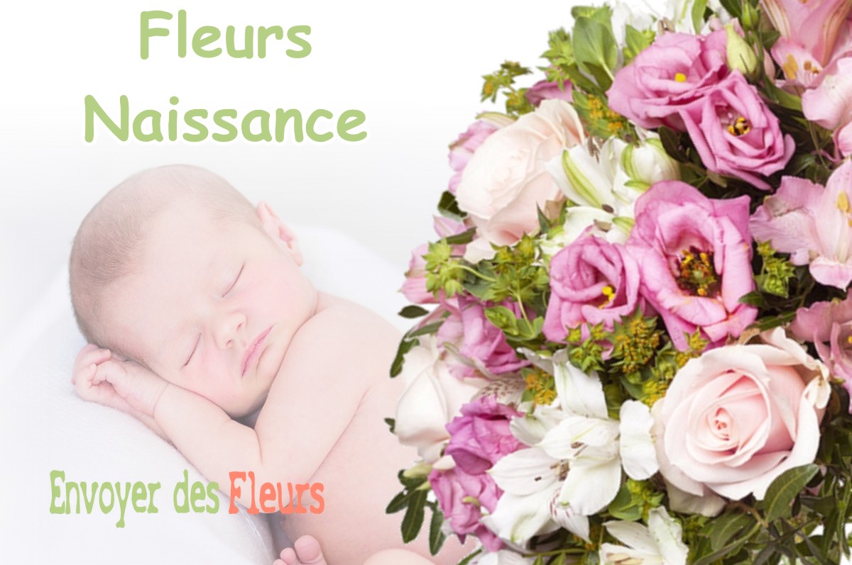 lIVRAISON FLEURS NAISSANCE à VAUMOISE